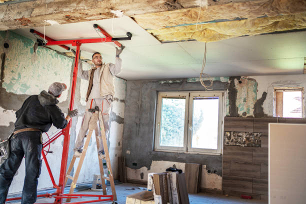 Best Insulation Installation Services in Cobden, IL